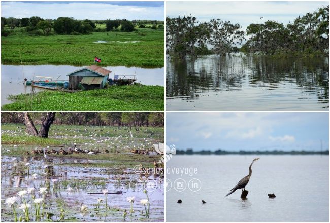 Sanctuaire d'oiseaux de Boeing Tonle